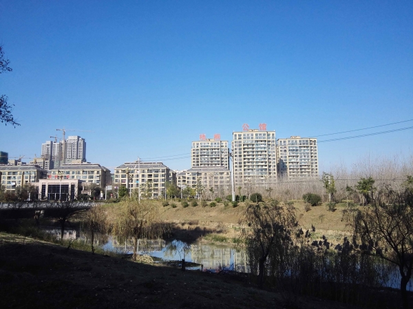 梧桐公館一期